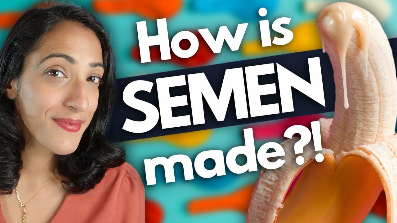 A Urologist explains what is semen made of?