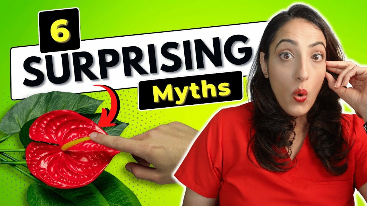 6 Myths You Need to Know About the Clitoris